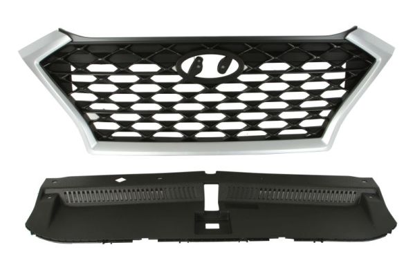 Radiator Grille BLIC 6502-07-3178990P