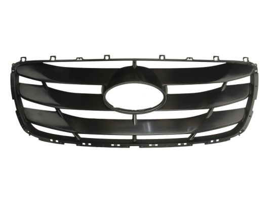 Radiator Grille BLIC 6502-07-3181991P