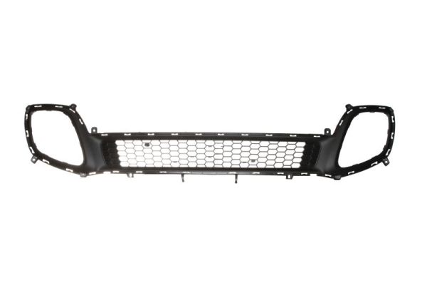 Ventilation Grille, bumper BLIC 6502-07-3266910P