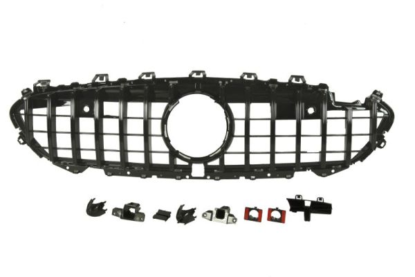 Radiator Grille BLIC 6502-07-3500991P