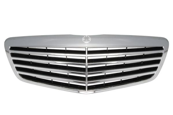 Radiator Grille BLIC 6502-07-3514992P