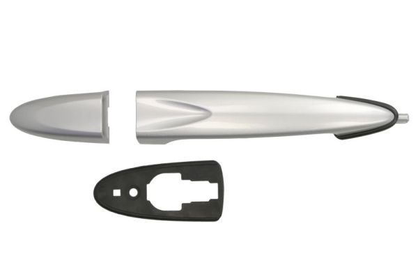 Exterior Door Handle BLIC 6010-23-012402PP