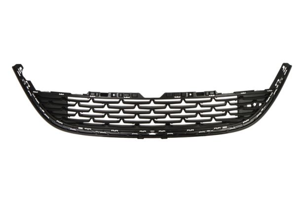 Ventilation Grille, bumper BLIC 6502-07-5053911Q