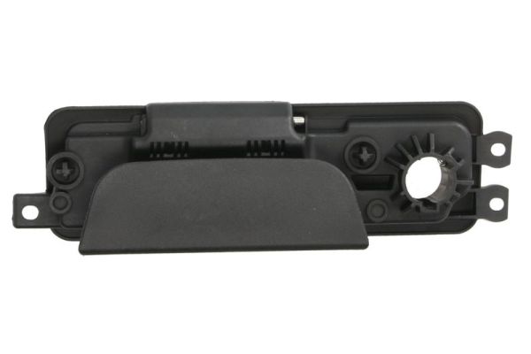 Exterior Door Handle BLIC 6010-67-004417P