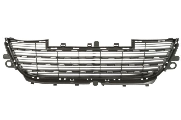 Ventilation Grille, bumper BLIC 6502-07-5516910P