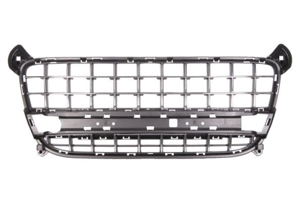 Ventilation Grille, bumper BLIC 6502-07-5545910P