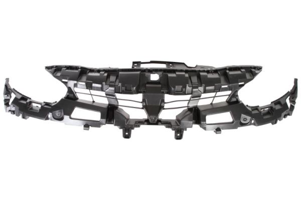 Radiator Grille BLIC 6502-07-6050992P