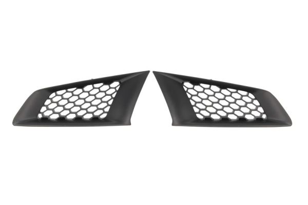 Radiator Grille BLIC 6502-07-6053990P