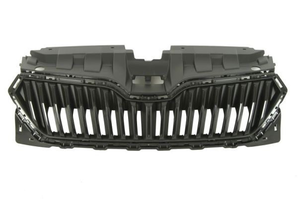 Radiator Grille BLIC 6502-07-7517992P