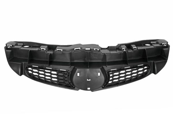 Radiator Grille BLIC 6502-07-8101991Q
