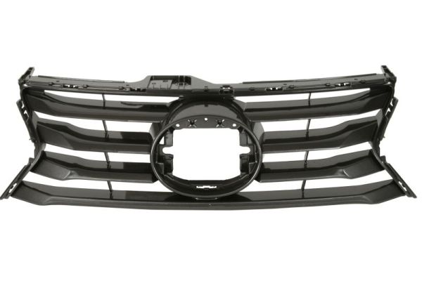 Radiator Grille BLIC 6502-07-8173990P