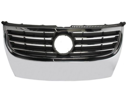 Radiator Grille BLIC 6502-07-9545991P