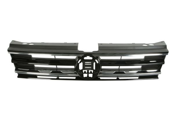 Radiator Grille BLIC 6502-07-9588990P