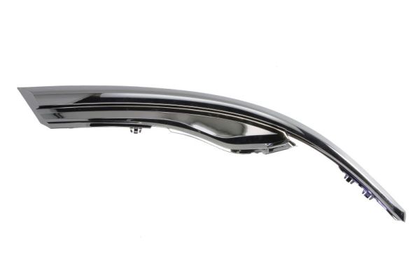 Headlight Trim BLIC 6502-07-8118201P