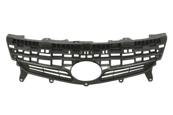 Radiator Grille BLIC 6502-07-8199990P