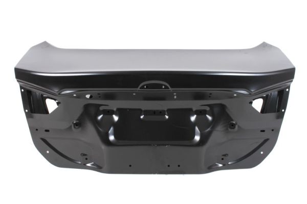 Boot-/Cargo Area Hatch BLIC 6301-00-2558710FP