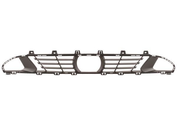 Ventilation Grille, bumper BLIC 6502-07-0064910P