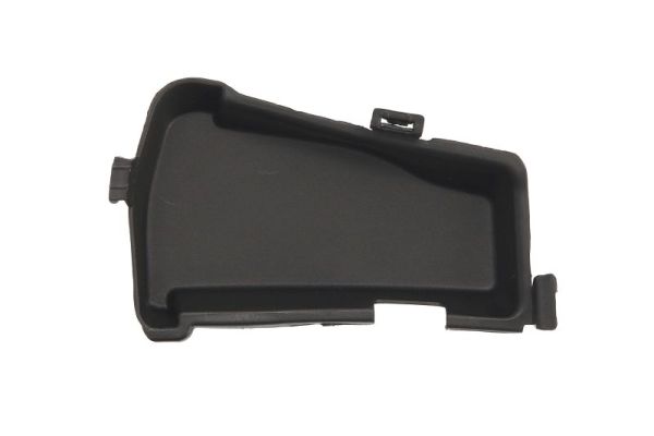 Ventilation Grille, bumper BLIC 6502-07-0067925MP