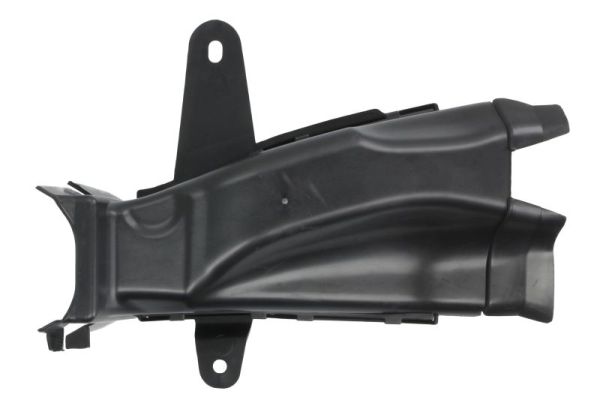 Ventilation Grille, bumper BLIC 6502-07-0072996PP