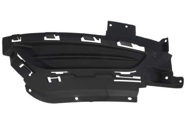 Cap, front fog light BLIC 6502-07-0942911P