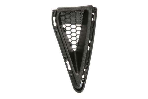 Ventilation Grille, bumper BLIC 6502-07-2589991FP