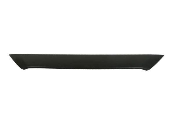 Cover, radiator grille BLIC 6502-07-3479210P