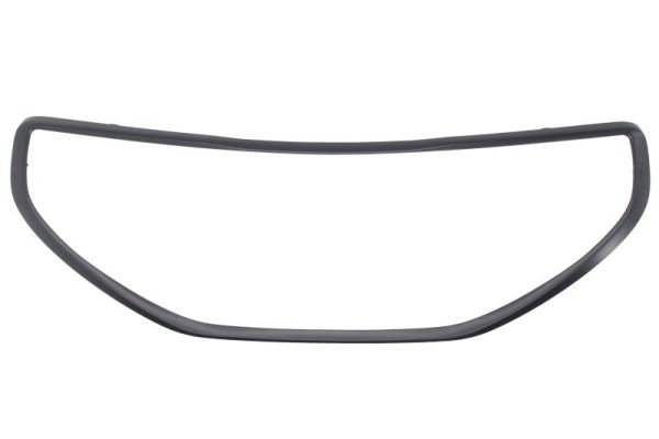 Baguette et bande protectrice, grille de radiateur BLIC 6502-07-5509997P