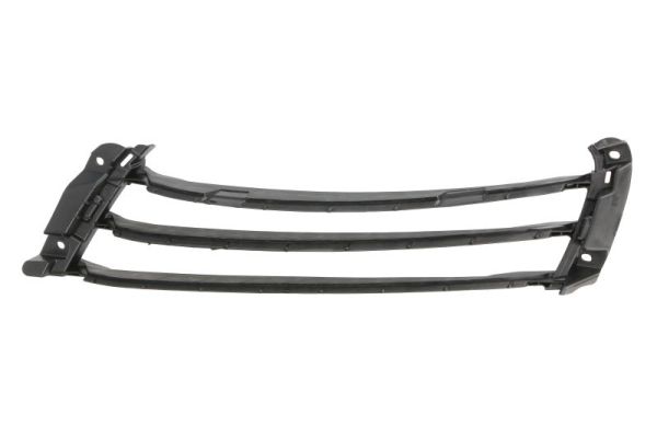 Holder, radiator grille BLIC 6502-07-5725922P