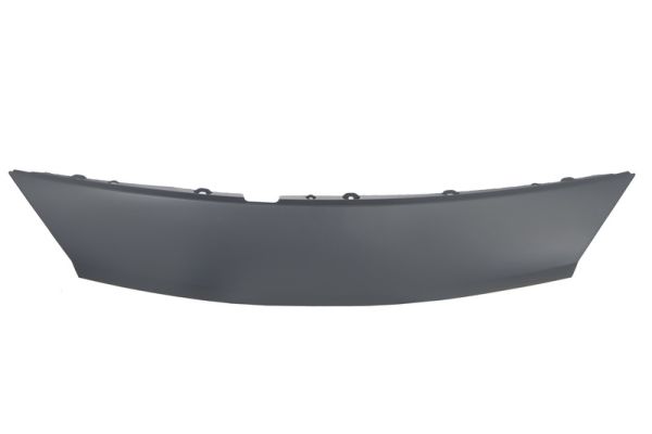 Cover, radiator grille BLIC 6502-07-6039210P
