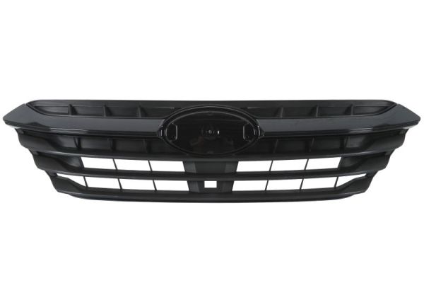 Radiator Grille BLIC 6502-07-6717991P