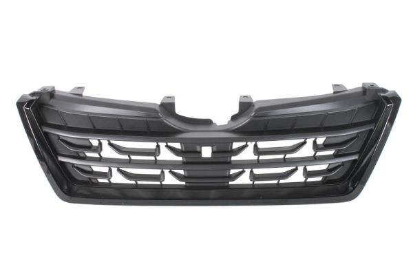 Radiator Grille BLIC 6502-07-6741996P