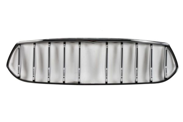 Radiator Grille BLIC 6502-07-6904998P