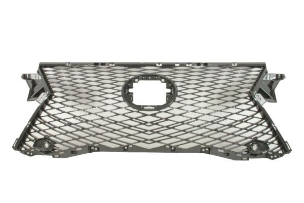 Radiator Grille BLIC 6502-07-8123991P