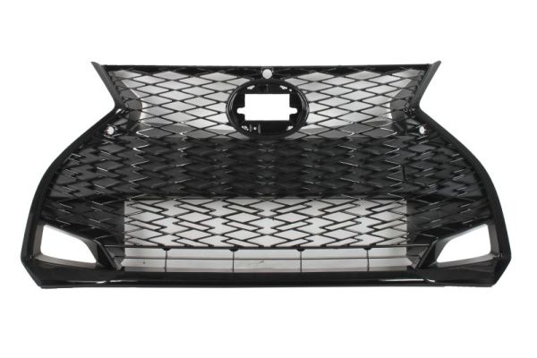 Radiator Grille BLIC 6502-07-8173994P
