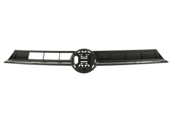 Radiator Grille BLIC 6502-07-9509990P