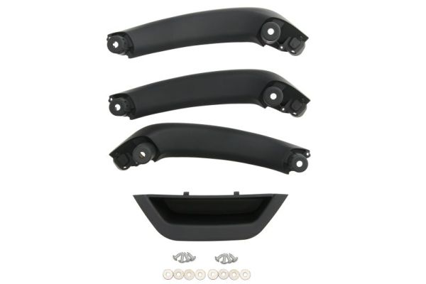 Exterior Door Handle BLIC 8800-10-0093101P
