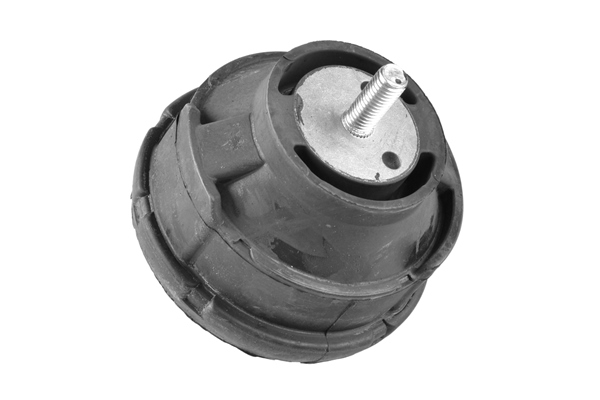 Engine Mounting TEDGUM 00080630