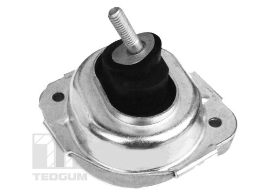 Engine Mounting TEDGUM 00088531