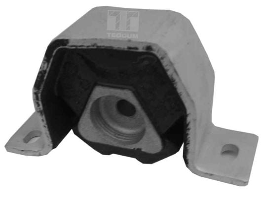 Engine Mounting TEDGUM 00212975