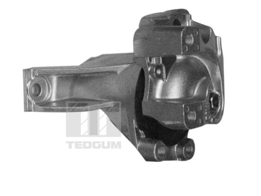 Engine Mounting TEDGUM 00269468