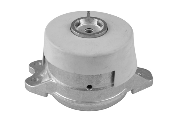 Mounting, engine TEDGUM TED42670