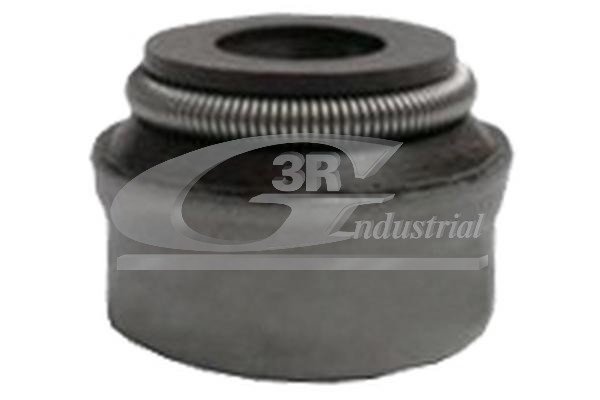 Seal Ring, valve stem 3RG 80142