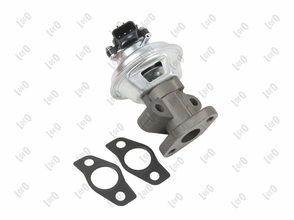 EGR Valve LORO 121-01-129