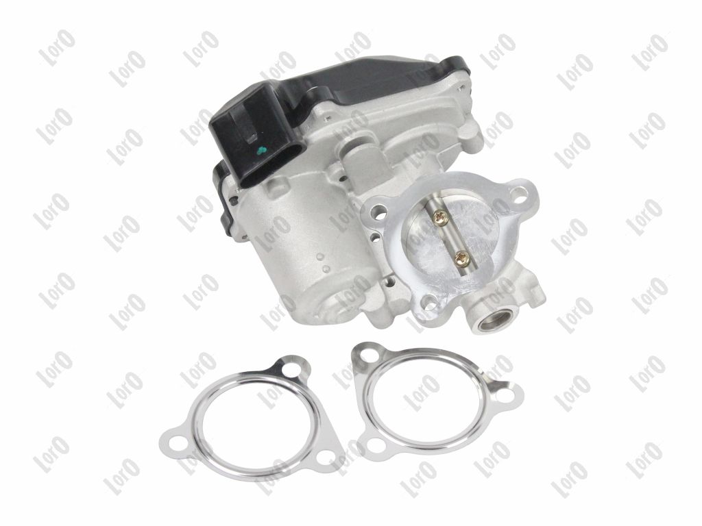 EGR Valve LORO 121-01-166