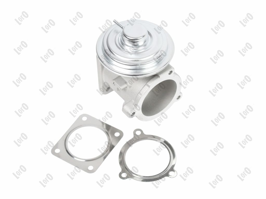 EGR Valve LORO 121-01-118