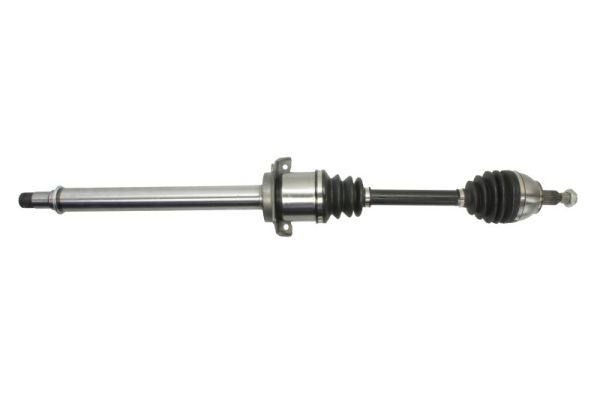 Drive Shaft PASCAL G2M009PC
