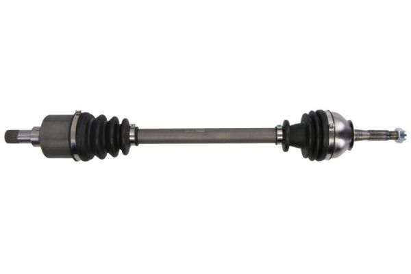 Drive Shaft PASCAL G2R009PC