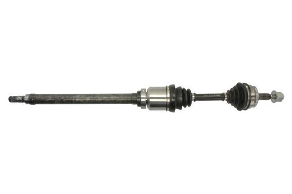 Drive Shaft PASCAL G2V001PC