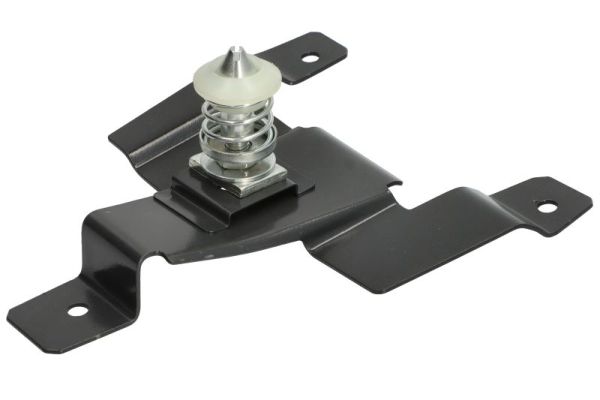 Holder, radiator grille PACOL IVE-FP-023