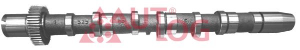Camshaft AUTLOG NW5024